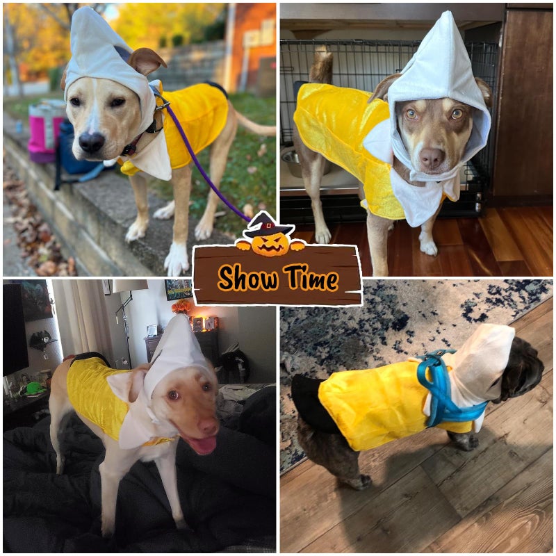Coppthinktu Banana Dog Halloween Costume - Dog Costumes for Small Medium Large Dogs Cute Cosplay Outfit Jumpsuit - Pet Clothes Outfit for Christmas Party Special Events - Image 5